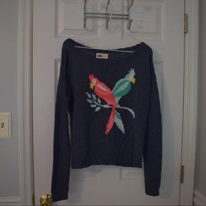Hollister Sweater